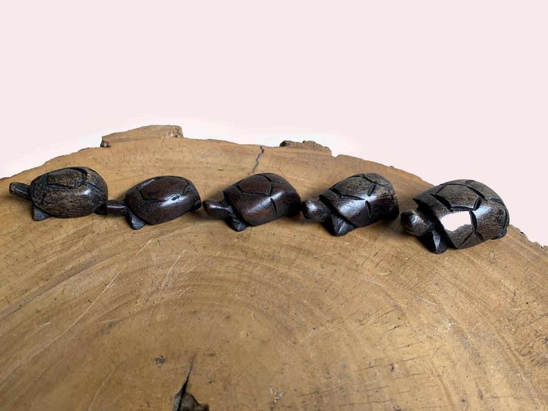 Adorable Wooden Turtle